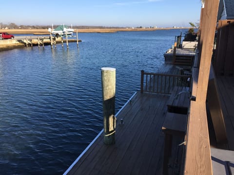 View of wetlands from Dock