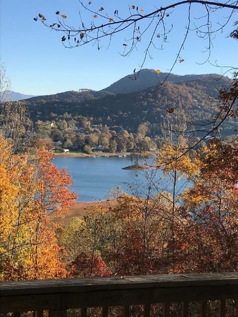 VIEW FROM UPPER DECK