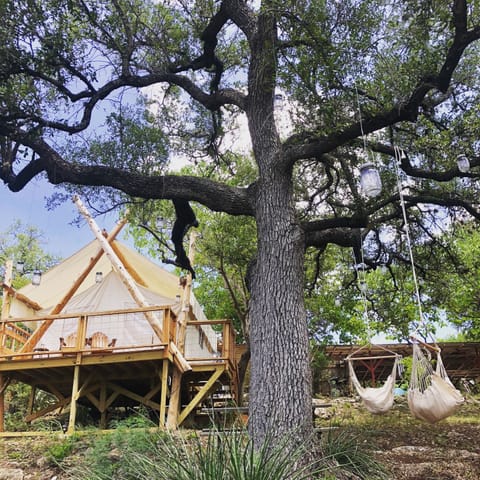 Epic Romantic Safari tent facing the lake with big oak tree right out front!
