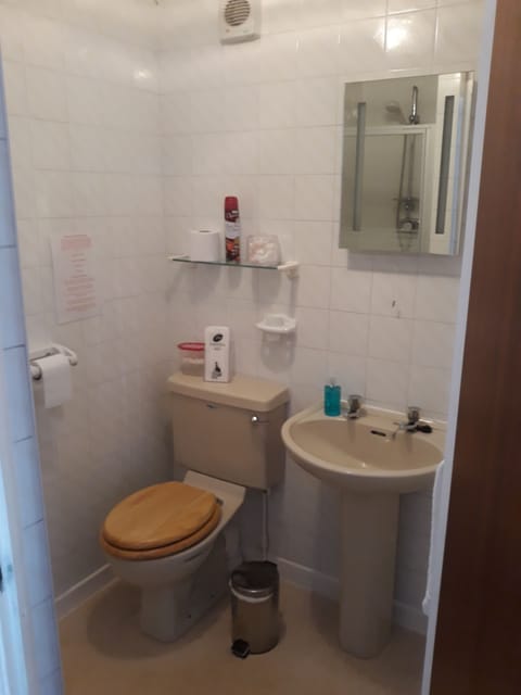 Double Room | Bathroom | Shower, free toiletries, hair dryer, towels