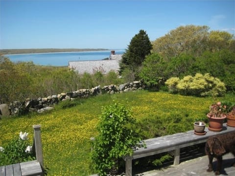 View of Menemsha Bight and Aquinnah from the front deck
