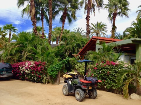 Our vacation rental is a secluded, restful p & located in town.