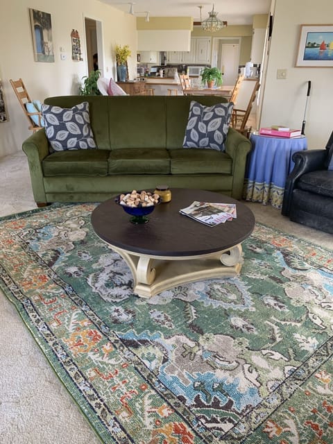 den with pull out sofa sleeper....
