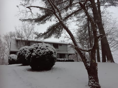 Winter front of house