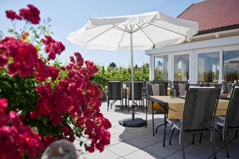 Sundeck