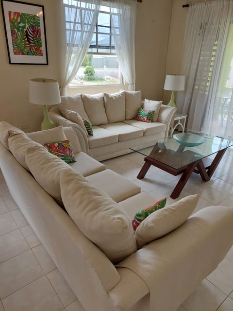 The Living Area 