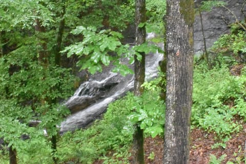 Waterfall just a few feet from back of cabin 