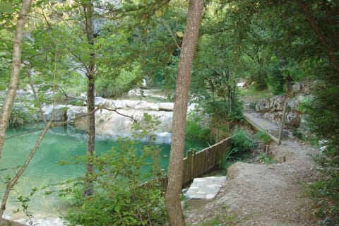 Lake
