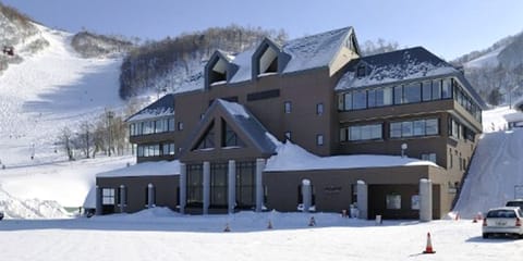 Skiing