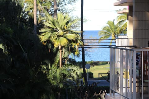 Partial ocean view from the lanai.