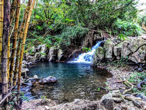 Shared waterfall swimming area