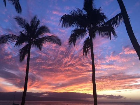 Another beautiful sunset 