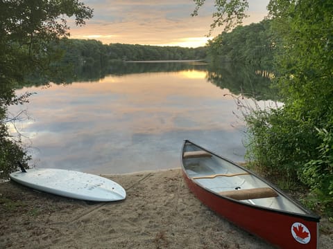 Our magical pond
