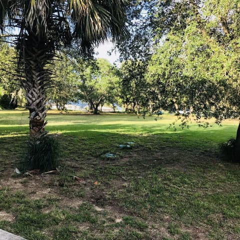 Looking towards Starr Lake.