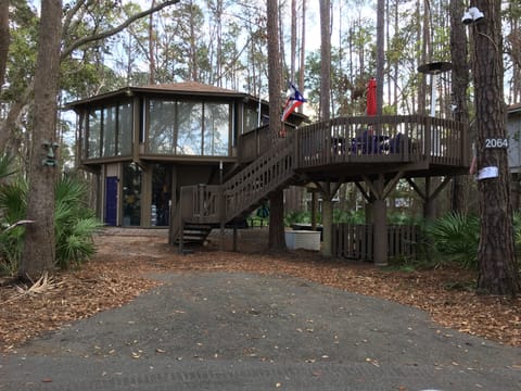 Kelysey's Tree Loft nestled in the trees but close enough to hear the ocean
