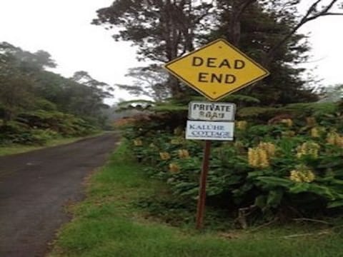 Long Driveway to Cottage