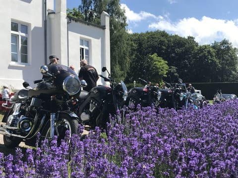 Outdoor wedding area