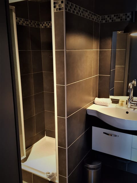 Superior Double Room | Bathroom | Shower, hydromassage showerhead, free toiletries, hair dryer
