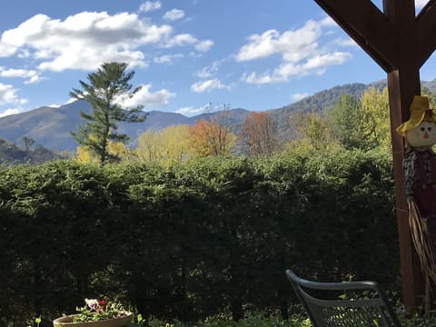 View from the back patio of our Inn in the fall. All our cottage guests welcome.