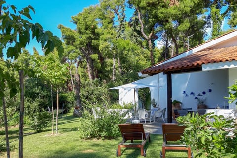 Welcome to Villa Aurora !