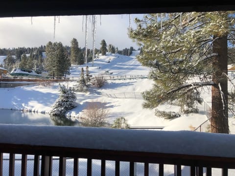 VIEW FROM LIVING ROOM COUCH! - You can sit in your living room and watch the skiers and boarders come down the mountain!