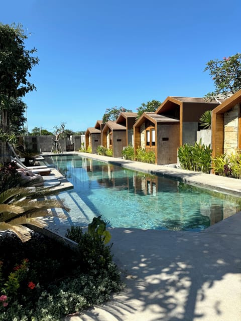 Outdoor pool, sun loungers