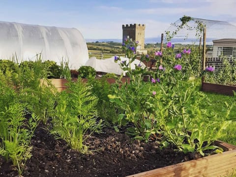 Garden and grounds | Old Stable Cottage, Uplawmoor, near Barrhead