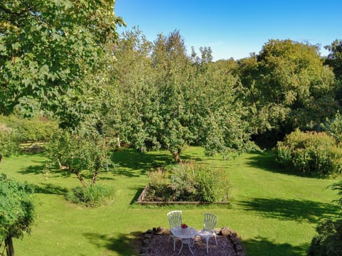 Beautiful large garden and grounds | Clematis Cottage, Derriton, near Holsworthy