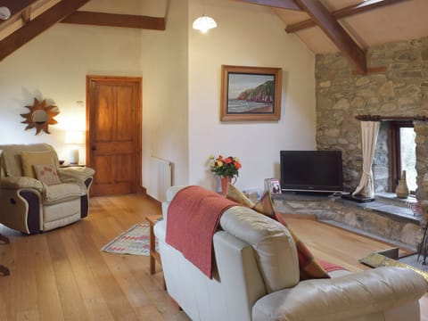 Living room with TV | Jemima&rsquo;s Cottage, Cilshafe, near Fishguard