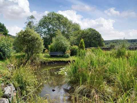 Stunning landscaped garden | Low Cordorcan, Wee Cordorcan - Cordorcan Cottages, Wood of Cree, near Newton Stewart