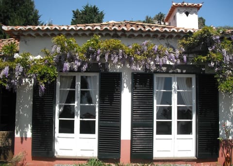 charming villa with glycinia