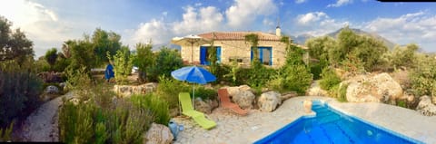 The house seen from pool
