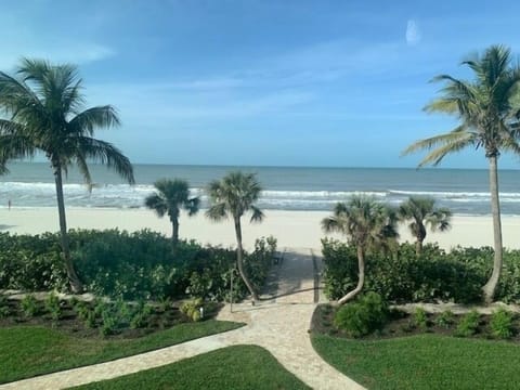 Beachfront boardwalk & landscaping  view from balcony