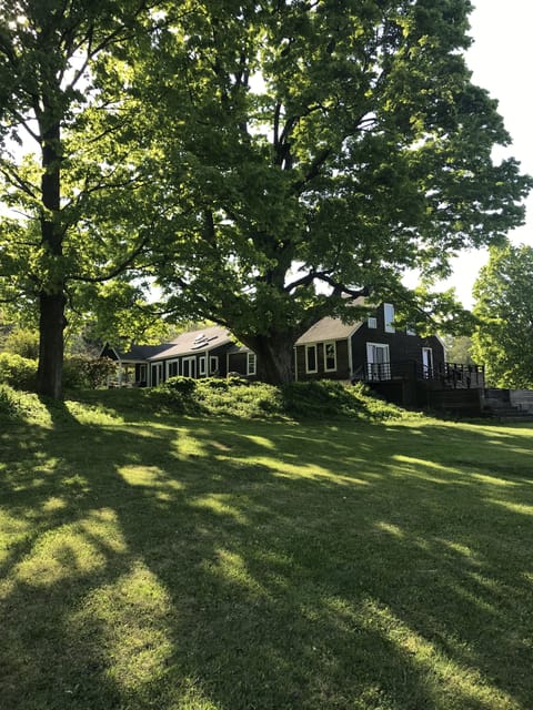 Front yard in Summer - 