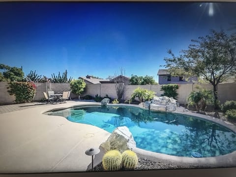 Backyard Oasis 