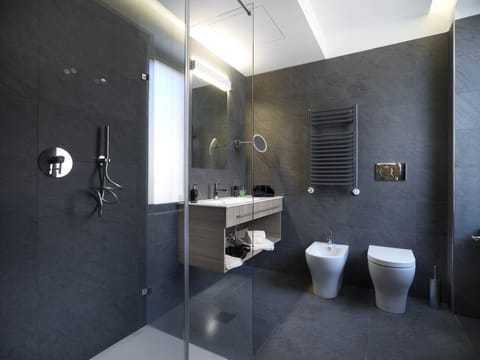 Shower, hair dryer, bidet, towels