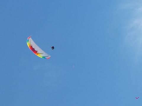 Nuraghe vacation apartment on an olive grove on the outskirts of the town, barrier-free, WLAN, Apartment in Sardinia