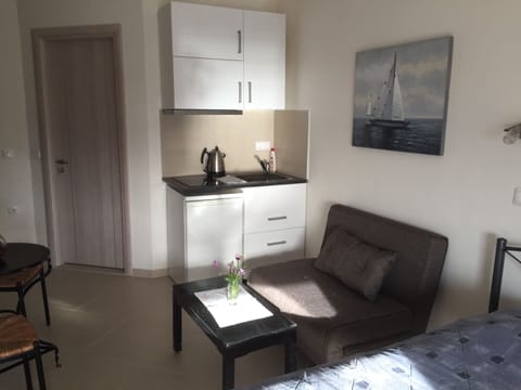 Studio ( Apartment) | Private kitchen | Fridge, coffee/tea maker, electric kettle