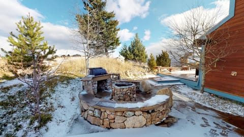 Propane barbecue.  No fires in fire pit 