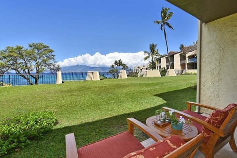 Wooden chairs rest on the patio, lawn rolling into palms and ocean under the clear sky.