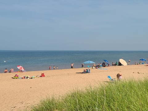 panmure beach 