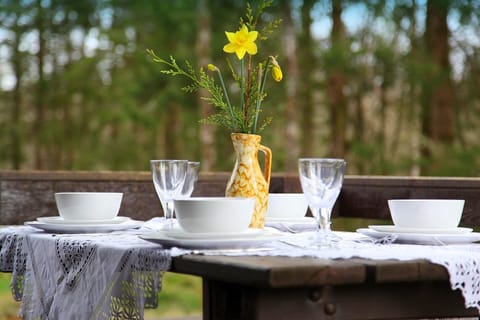 Veranda overlooking forest