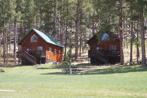 AC1ACAFC B999 40AF A24C B4FF3EC6D3FF 1 105 c