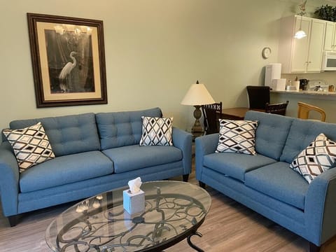 New furniture in the living room