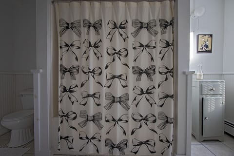 Combined shower/tub, free toiletries, hair dryer, towels