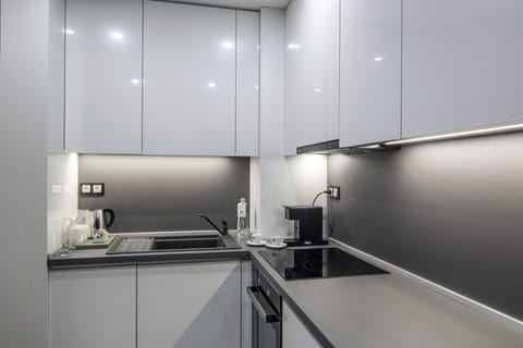 Standard Apartment, Multiple Beds, Non Smoking, Kitchenette (with Sofabed) | Private kitchenette | Coffee/tea maker, electric kettle, eco-friendly cleaning products