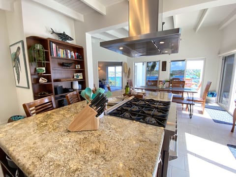 Open Concept Chef Style Kitchen 