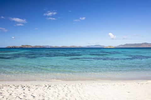 This beach is literally steps away from front door!