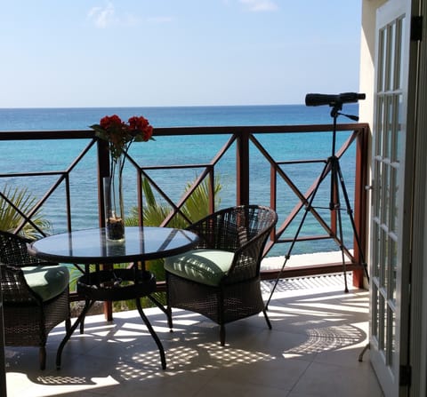 Unobstructed panoramic view