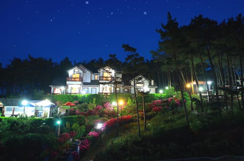Front of property - evening/night
